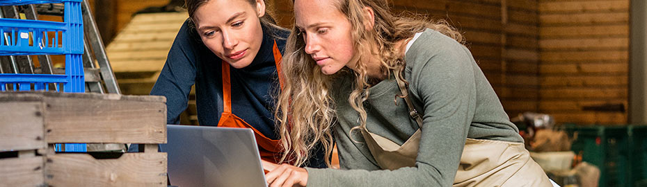 Online Banking Firmenkunden Volksbank Mainspitze Eg